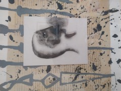 Il conflitto delle interpretazioni: pedagogia e psicoanalisi nella scuola